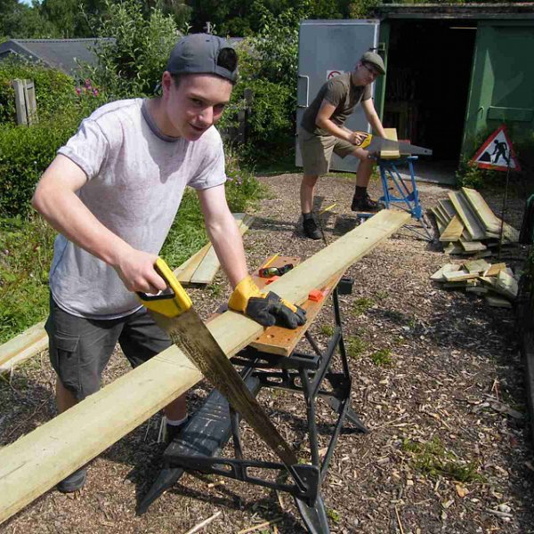 My Work Experience Week
